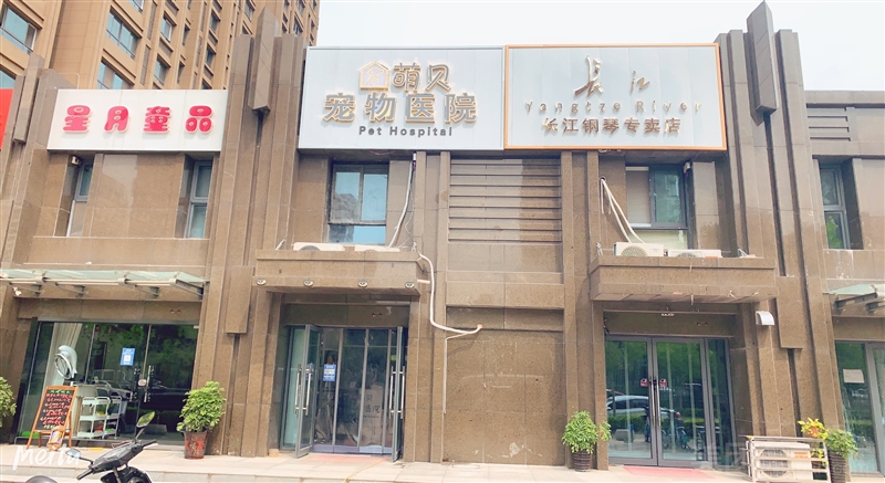 萌贝宠物医院 24小时 犬猫专科的图标